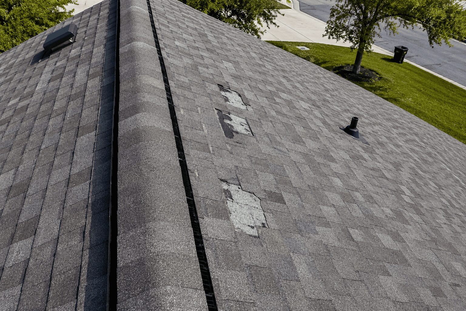 Damaged and curling roof shingles